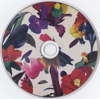 CD Washed Out: Paracosm