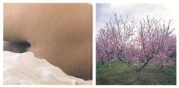 CD Washed Out: Within And Without