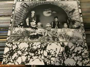 LP Washington Dead Cats: Go Vegetables Go! CLR