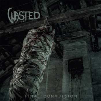 Album Wasted: Final Convultion