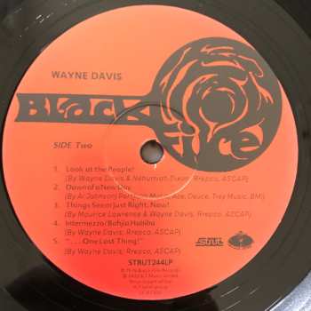 LP Wayne Davis: Wayne Davis 479688