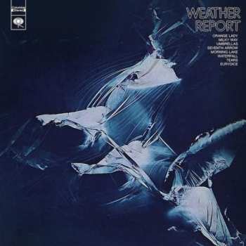 2LP Weather Report: Weather Report 446811