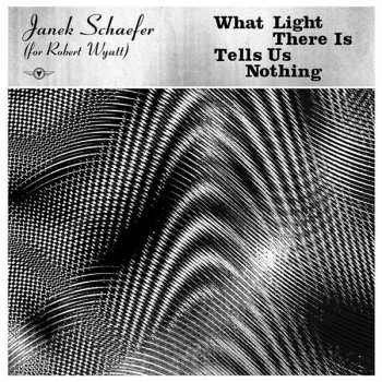 Album Janek Schaefer: What Light There Is Tells Us Nothing