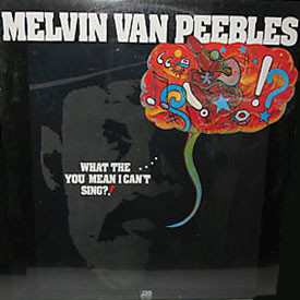 Album Melvin Van Peebles: What The . . . . You Mean I Can't Sing?!