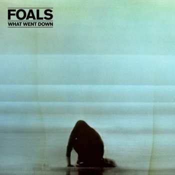 Album Foals: What Went Down