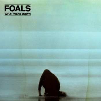 LP Foals: What Went Down 40018