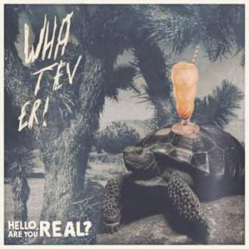 Whatever!: Hello, are you real?
