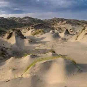 Dune Worship