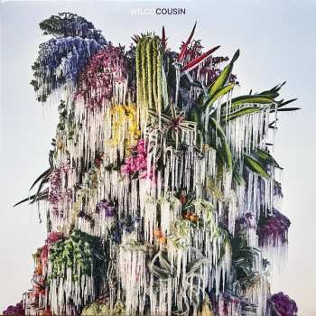 Album Wilco: Cousin