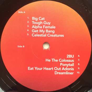 LP Wild Beasts: Boy King