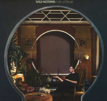 Album Wild Nothing: Life Of Pause