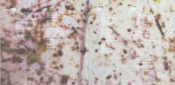 CD Wildbirds & Peacedrums: The Snake DIGI