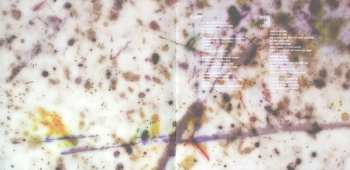 CD Wildbirds & Peacedrums: The Snake DIGI