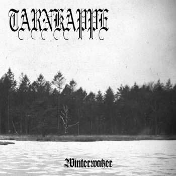 Album Tarnkappe: Winterwaker