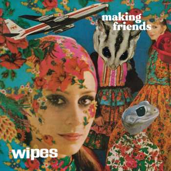 Album Wipes: Making Friends