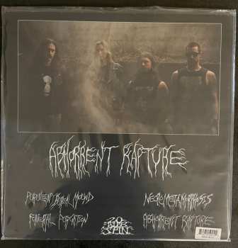 LP Witch Vomit: Abhorrent Rapture LTD | CLR 419947
