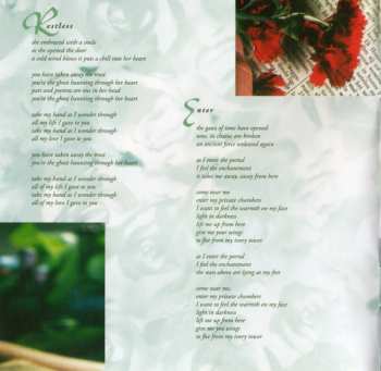 CD Within Temptation: Enter & The Dance