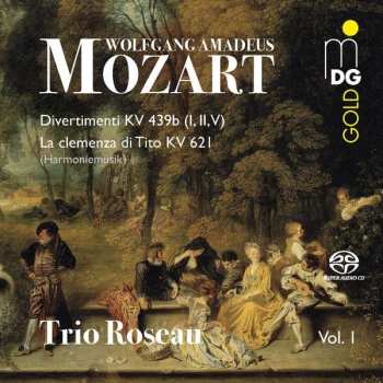 Album Wolfgang Amadeus Mozart: Divertimenti KV 439b