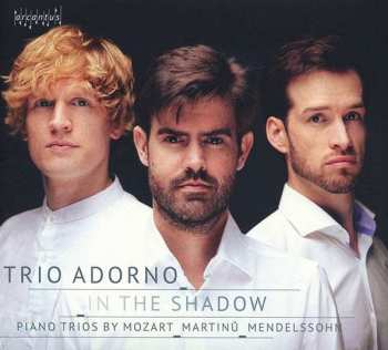 Album Wolfgang Amadeus Mozart: Trio Adorno - In The Shadow