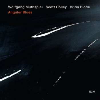 LP Wolfgang Muthspiel: Angular Blues 66139