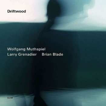 Album Wolfgang Muthspiel: Driftwood