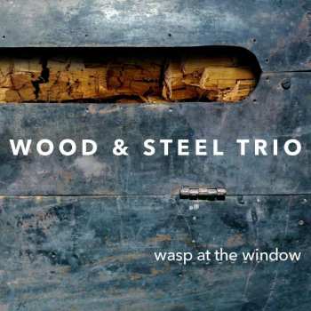 Album Wood & Steel Trio: Wasp At The Window