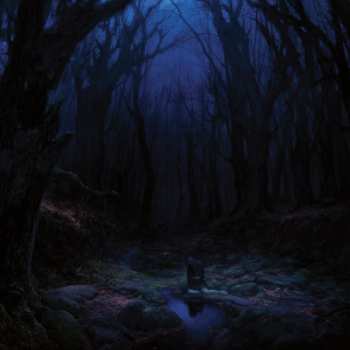 LP Woods Of Desolation: Torn Beyond Reason 478614