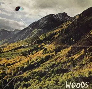 Woods: Songs Of Shame