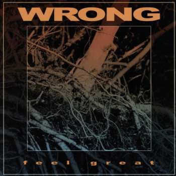 CD Wrong: Feel Great 244663