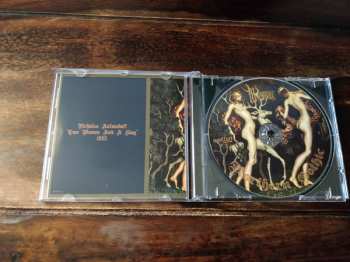 CD Wudewuse: Northern Gothic 304382