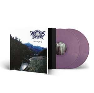 2LP Xasthur: A Misleading Reality 518044