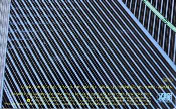 LP Yes: Going For The One