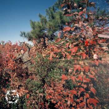 Album ylayali: Separation