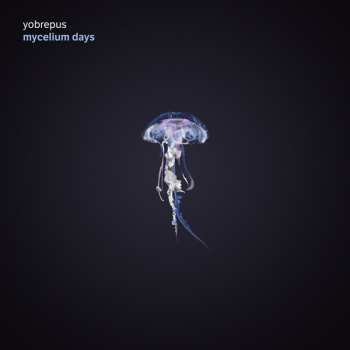 Album Yobrepus: Mycelium Days