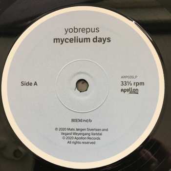 LP Yobrepus: Mycelium Days 130186