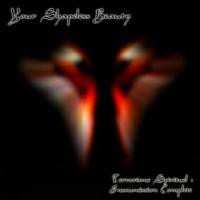 Album Your Shapeless Beauty: Terrorisme Spirituel Insoumission Complete
