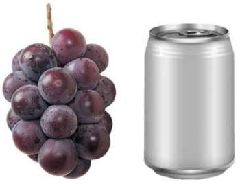 Album Yuki Chiba: Budokan