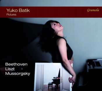 Album Yuko Batik: Pictures