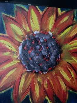 2LP ZAZ: Recto Verso