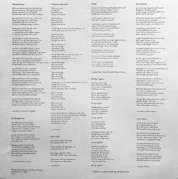 LP Zomes: Love’s Lesson LTD